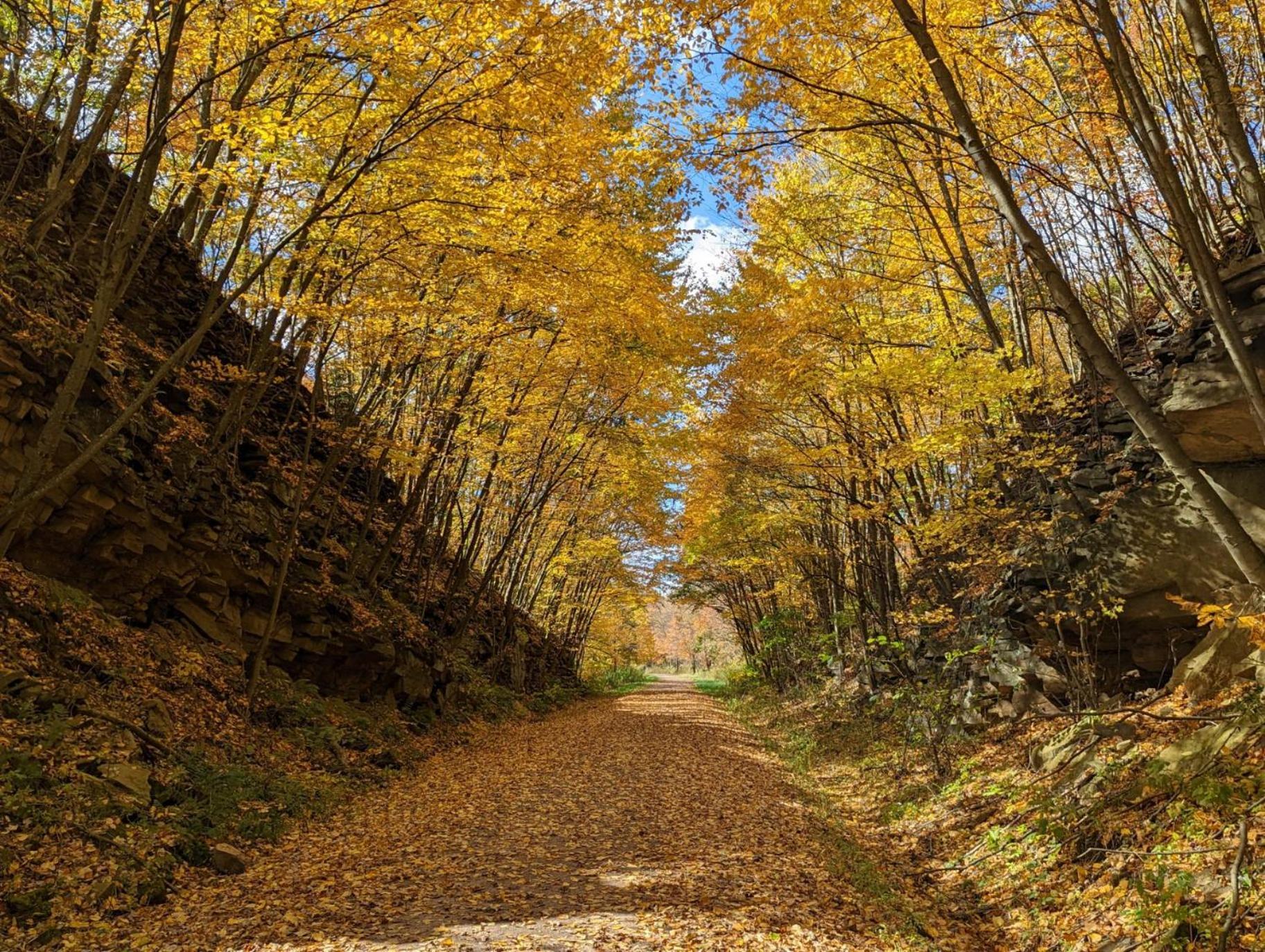 Stay In Ohiopyle Near Everything Including The Trail, Ohiopyle Pa Farmington 外观 照片